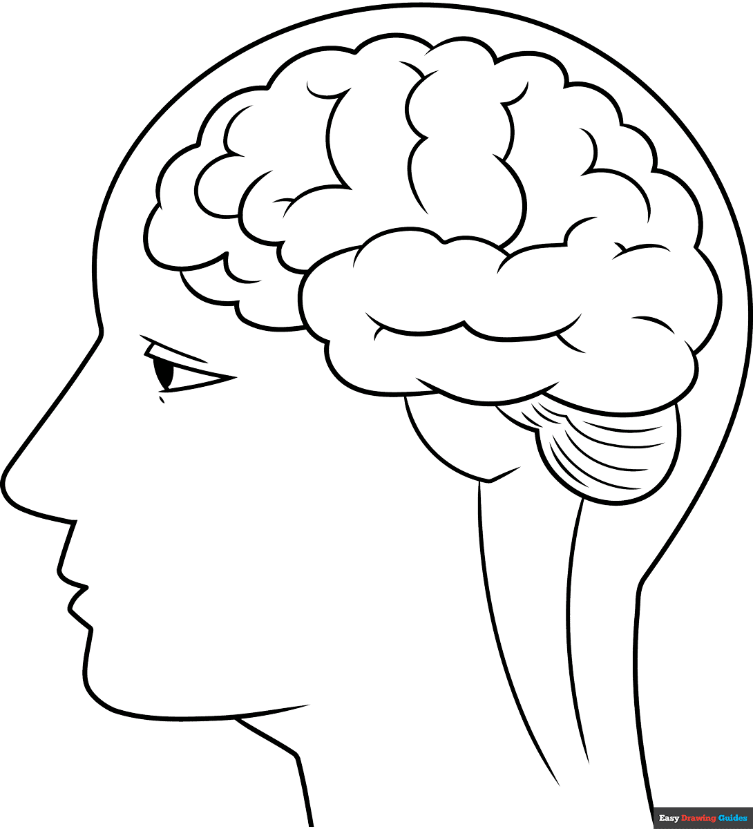 How To Draw A Brain Outline Really Easy Drawing Tutorial