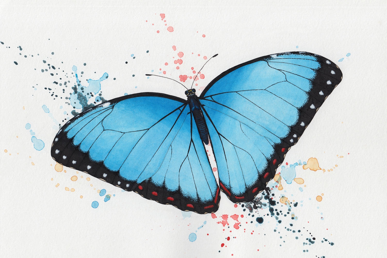 How To Draw A Butterfly How to Art