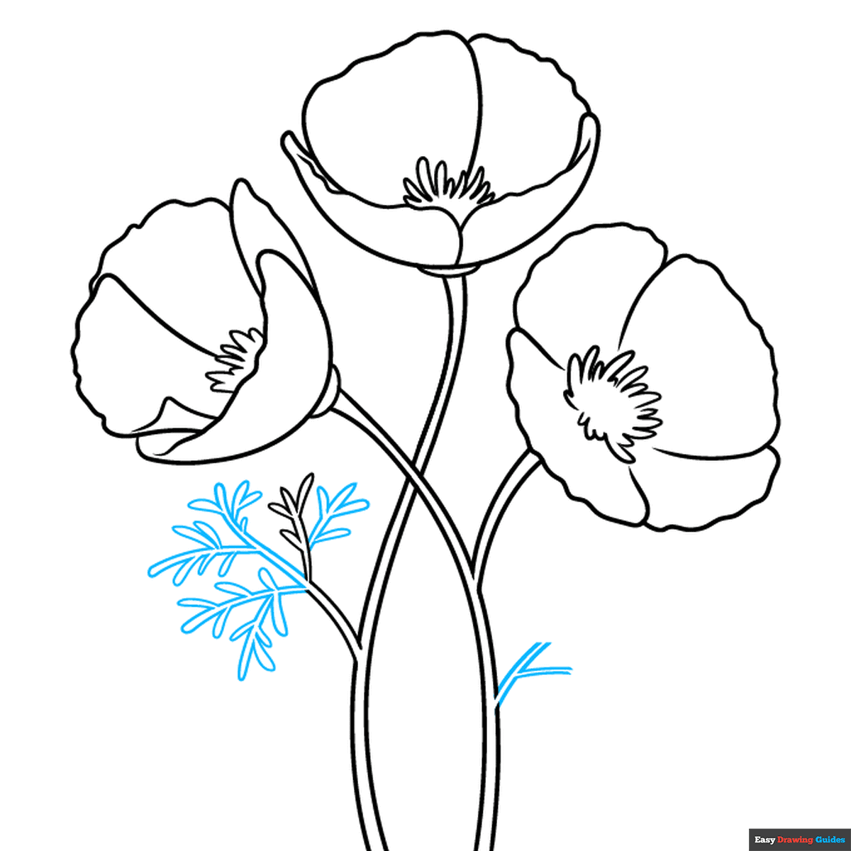 How To Draw A California Poppy Really Easy Drawing Tutorial
