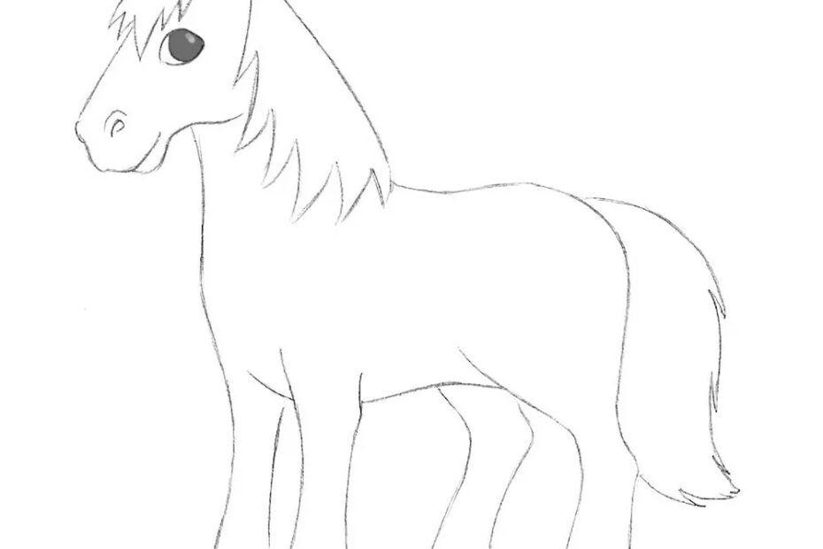 How To Draw A Cartoon Horse