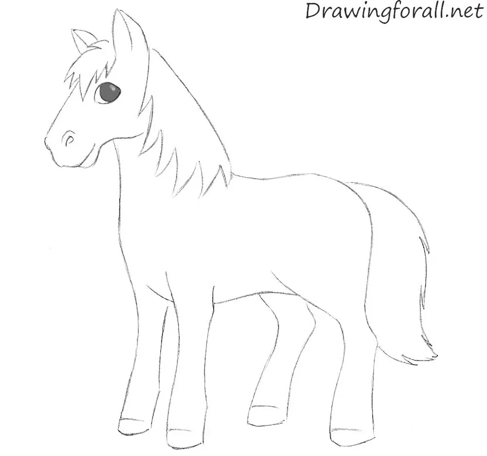 How To Draw A Cartoon Horse