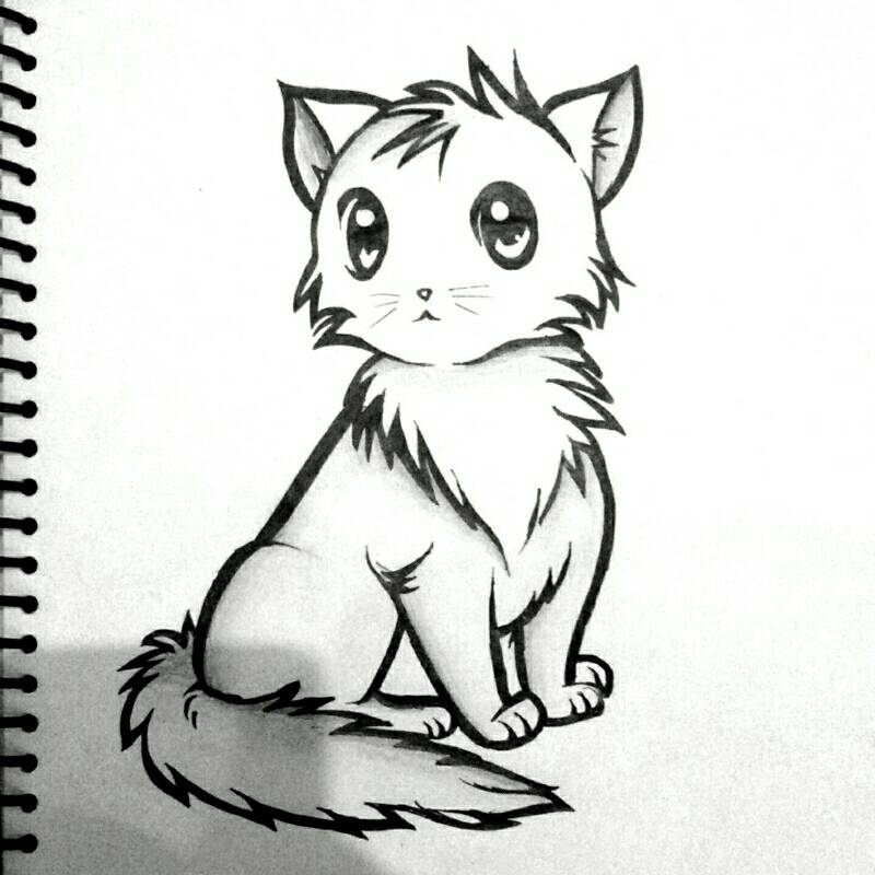 How To Draw A Cat Inspiration Sketch A Day