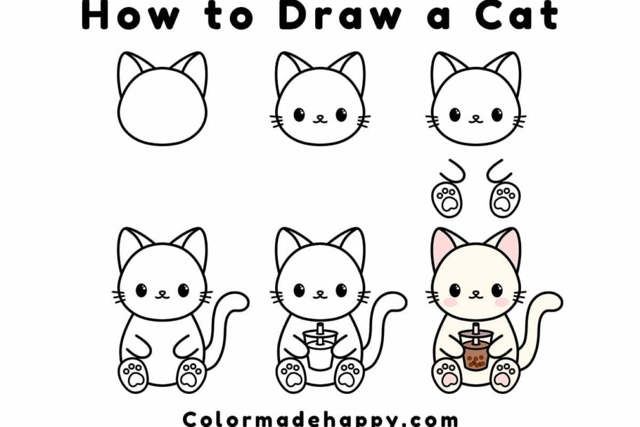 How To Draw A Cat Step by Step Instructions