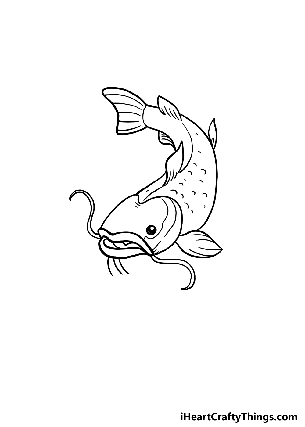 How To Draw A Catfish Step By Step 