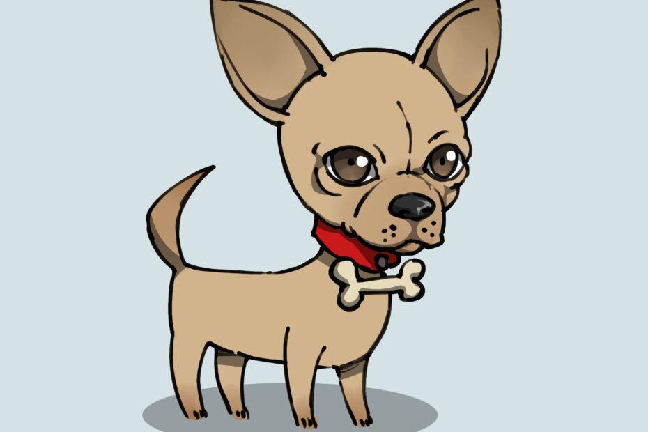 How To Draw A Chihuahua with Pictures WikiHow