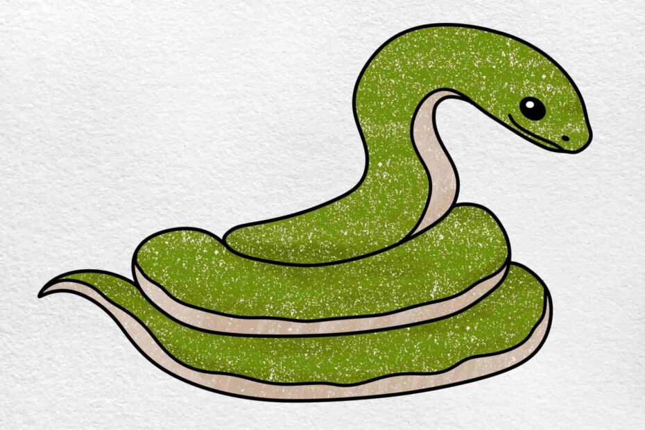 How To Draw A Coiled Snake HelloArtsy