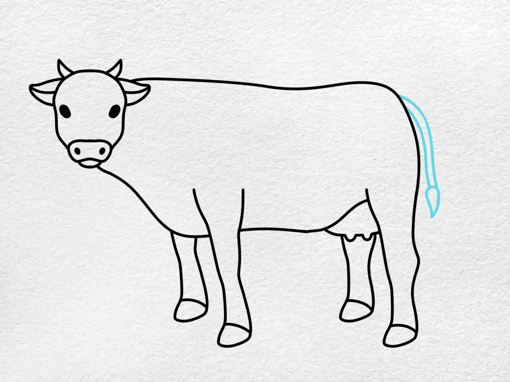 How To Draw A Cow HelloArtsy