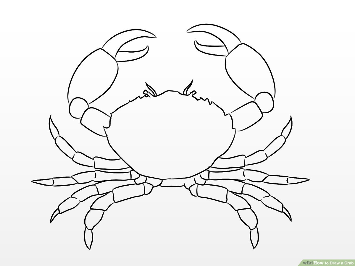 How To Draw A Crab 9 Steps with Pictures WikiHow