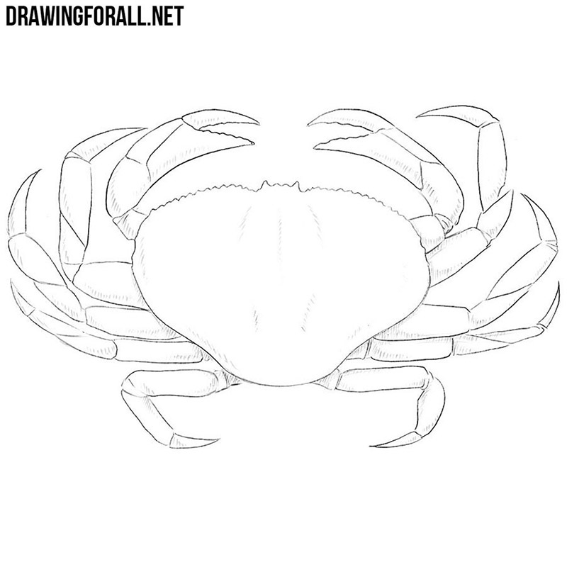 How To Draw A Crab