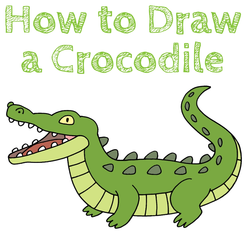 How To Draw A Crocodile Step By Step How To Draw Easy