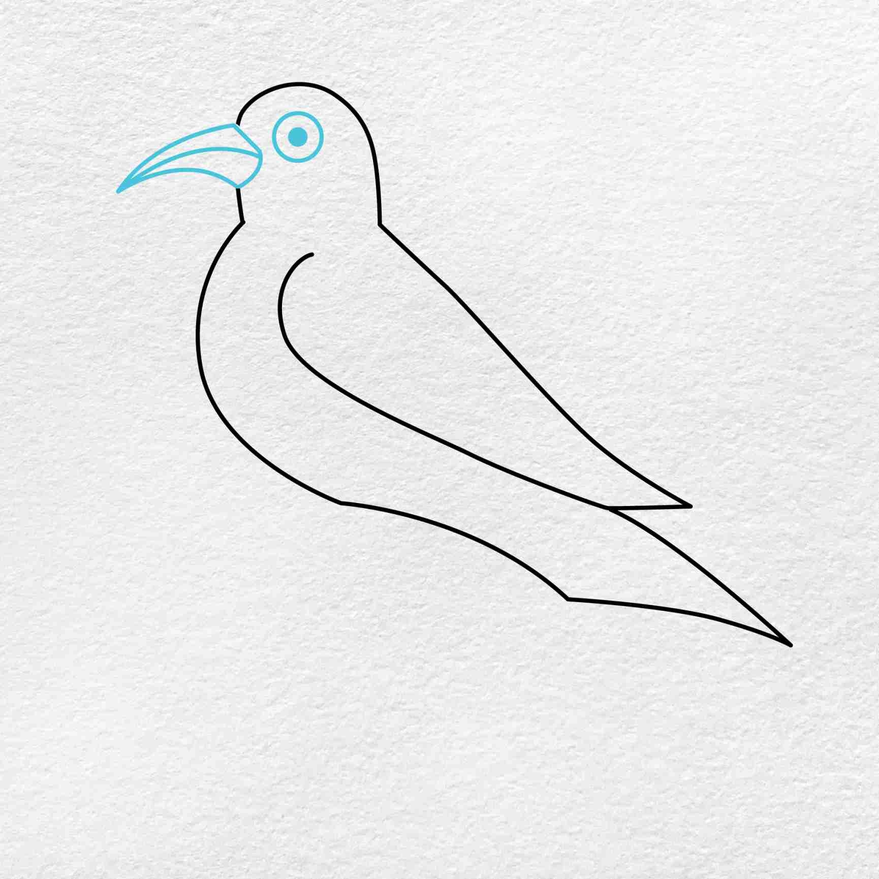 how to draw a crow