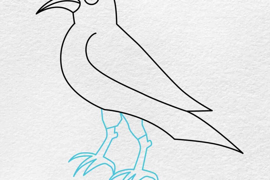 How To Draw A Crow HelloArtsy