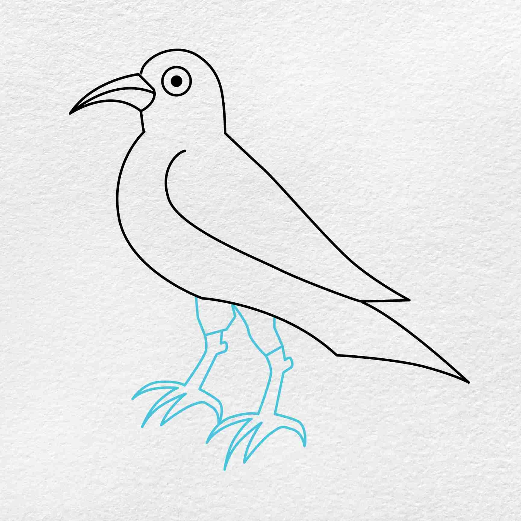 How To Draw A Crow HelloArtsy
