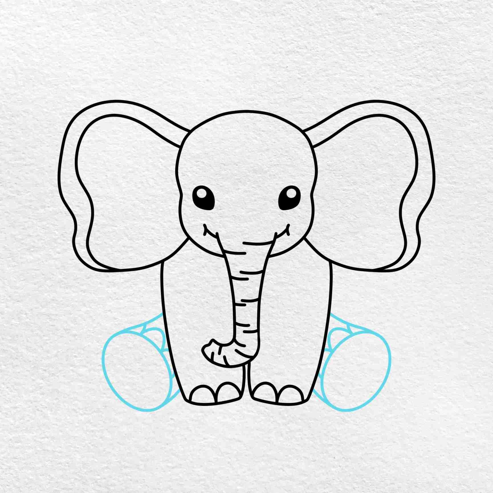 elephant drawing