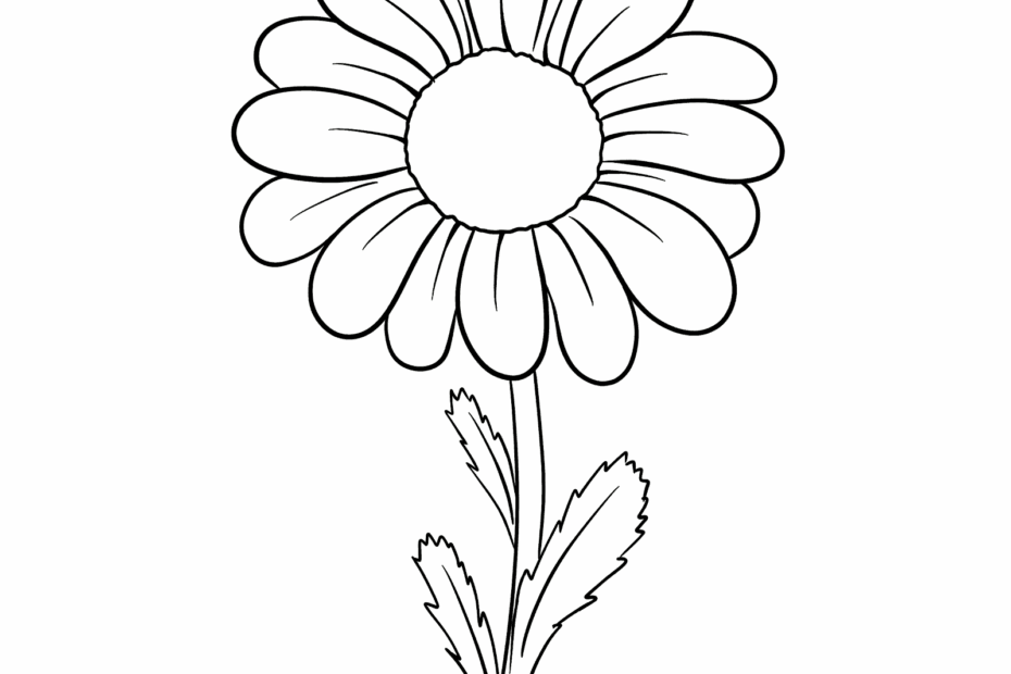 How To Draw A Daisy From Easy Simple Shapes