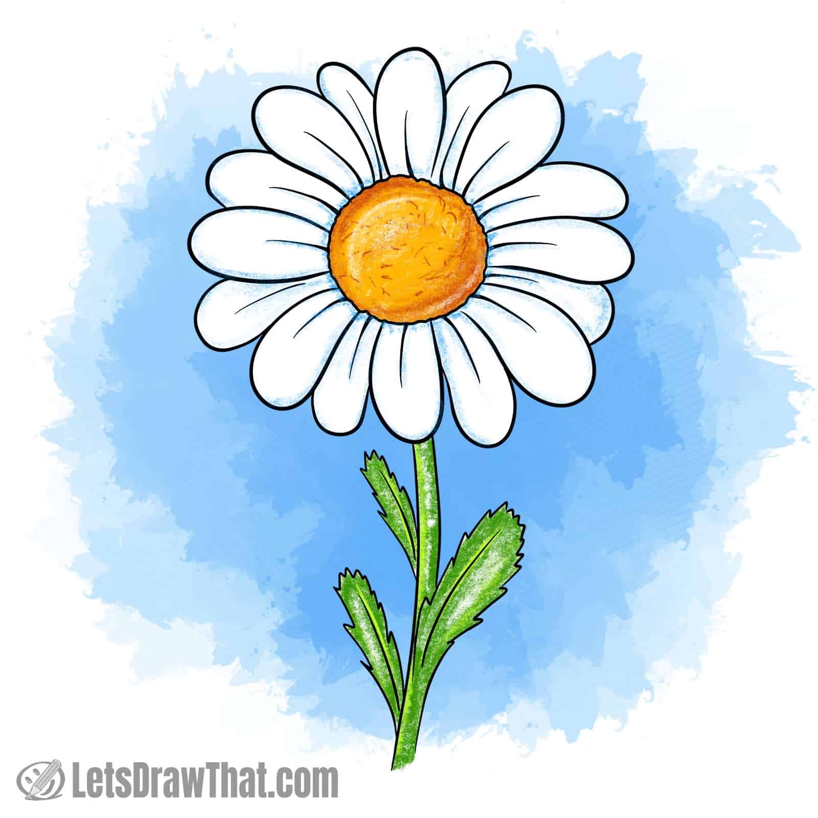 How To Draw A Daisy From Easy Simple Shapes