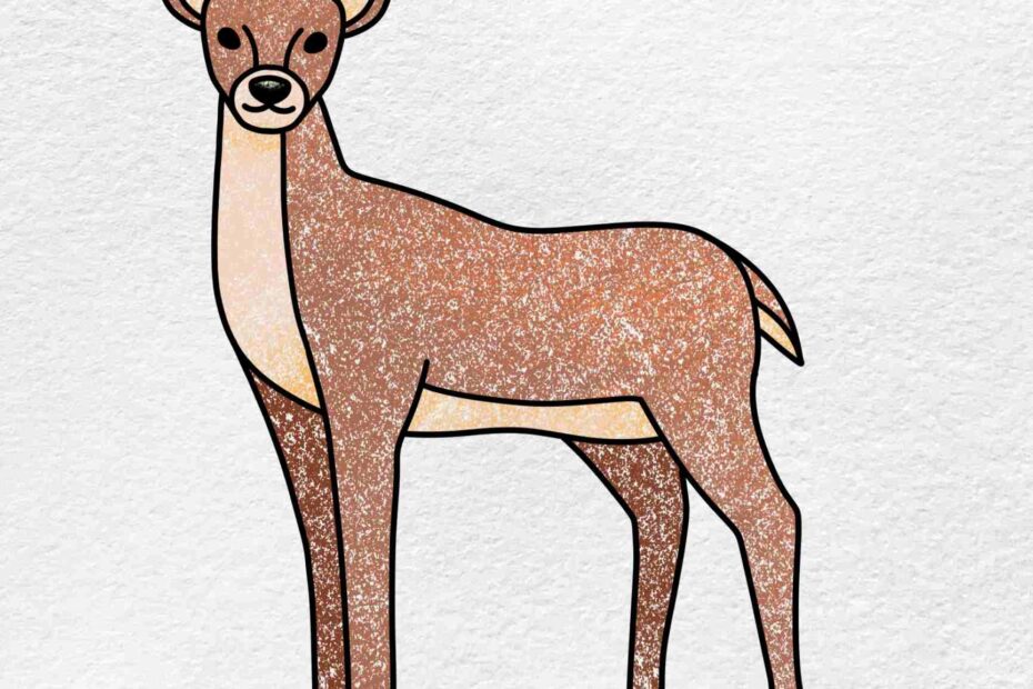 How To Draw A Deer HelloArtsy