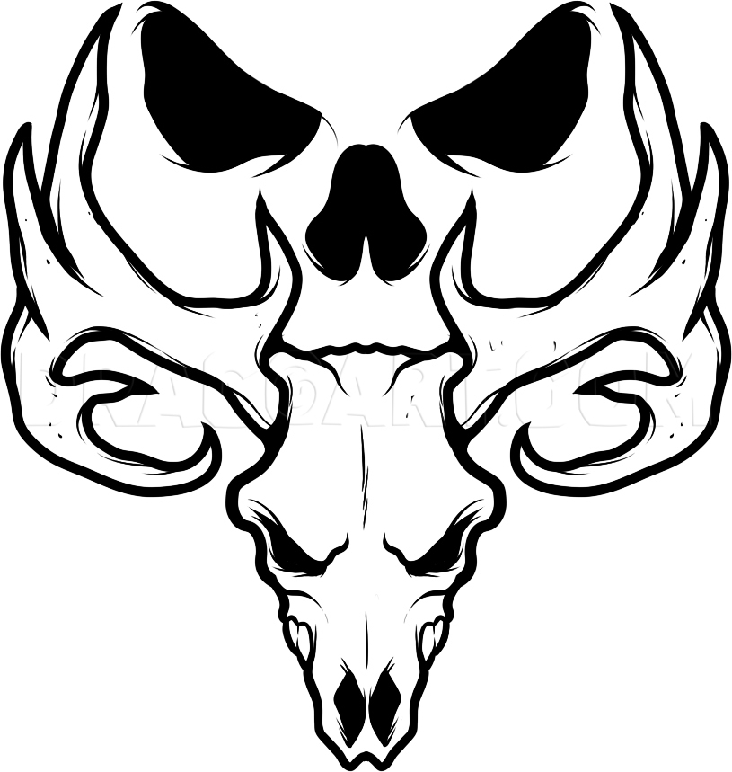 How To Draw A Deer Skull Deer Skull Tattoo Drawing Step By Step 