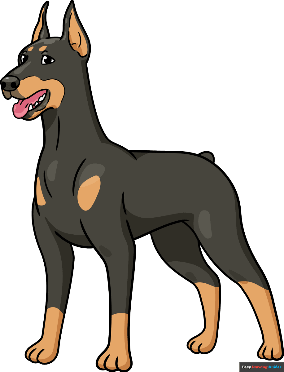 How To Draw A Doberman Really Easy Drawing Tutorial