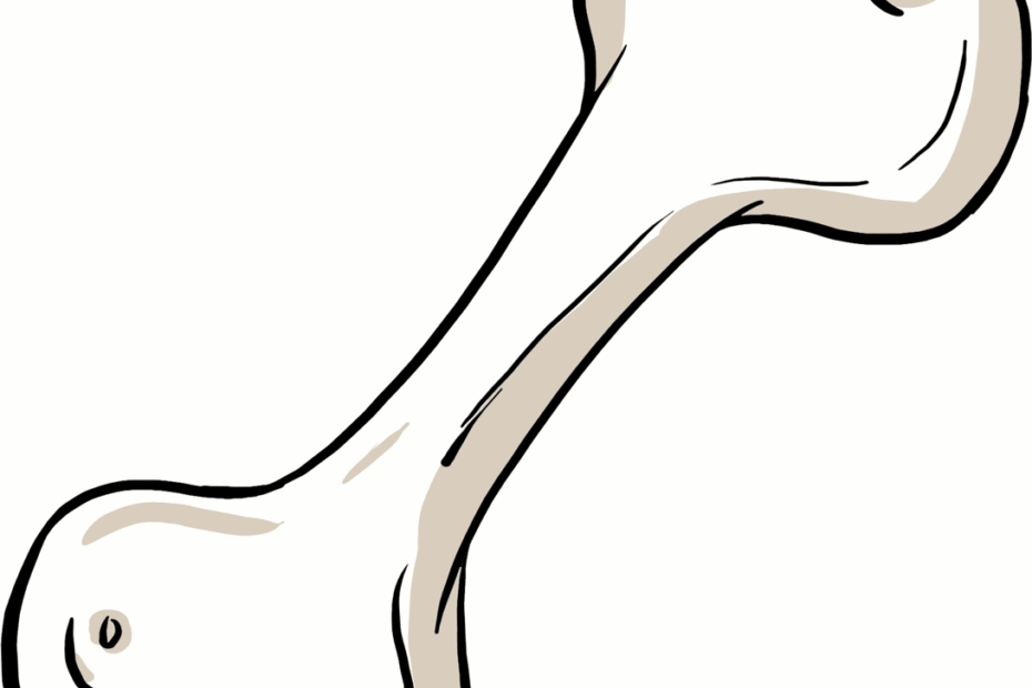 How To Draw A Dog Bone Really Easy Drawing Tutorial