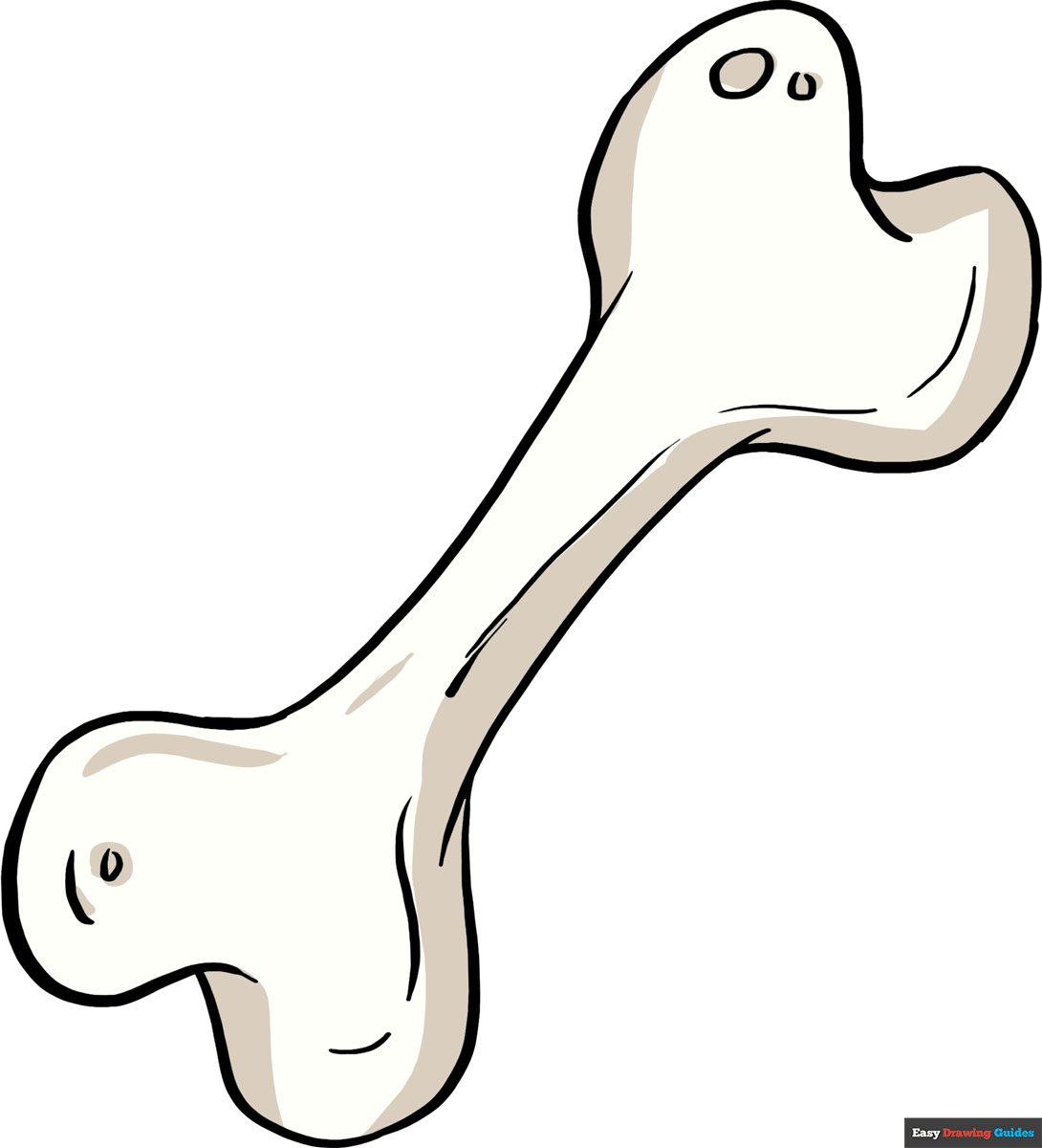How To Draw A Dog Bone Really Easy Drawing Tutorial