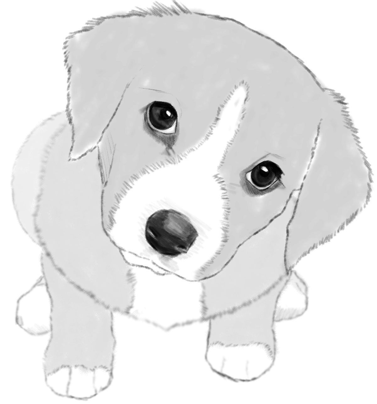 dog drawings easy