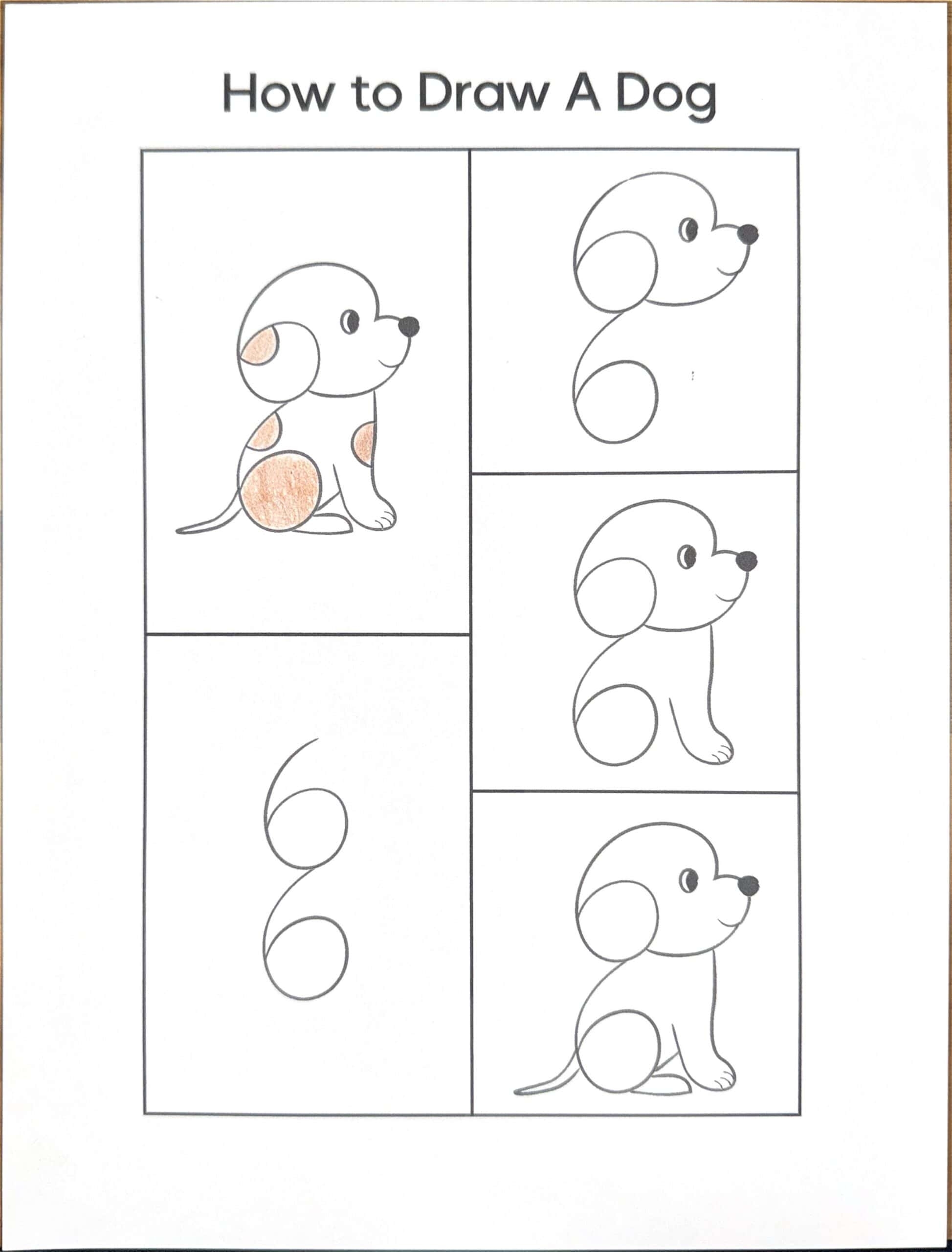 How To Draw A Dog Using Numbers Free Template