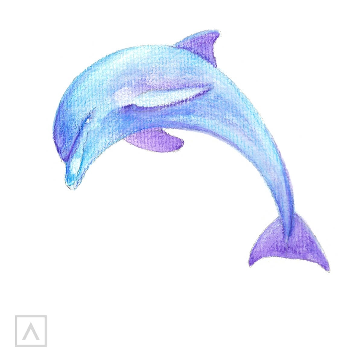 how do you draw a dolphin