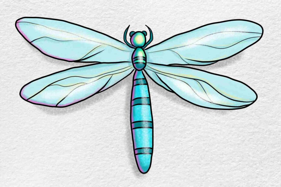 How To Draw A Dragonfly HelloArtsy