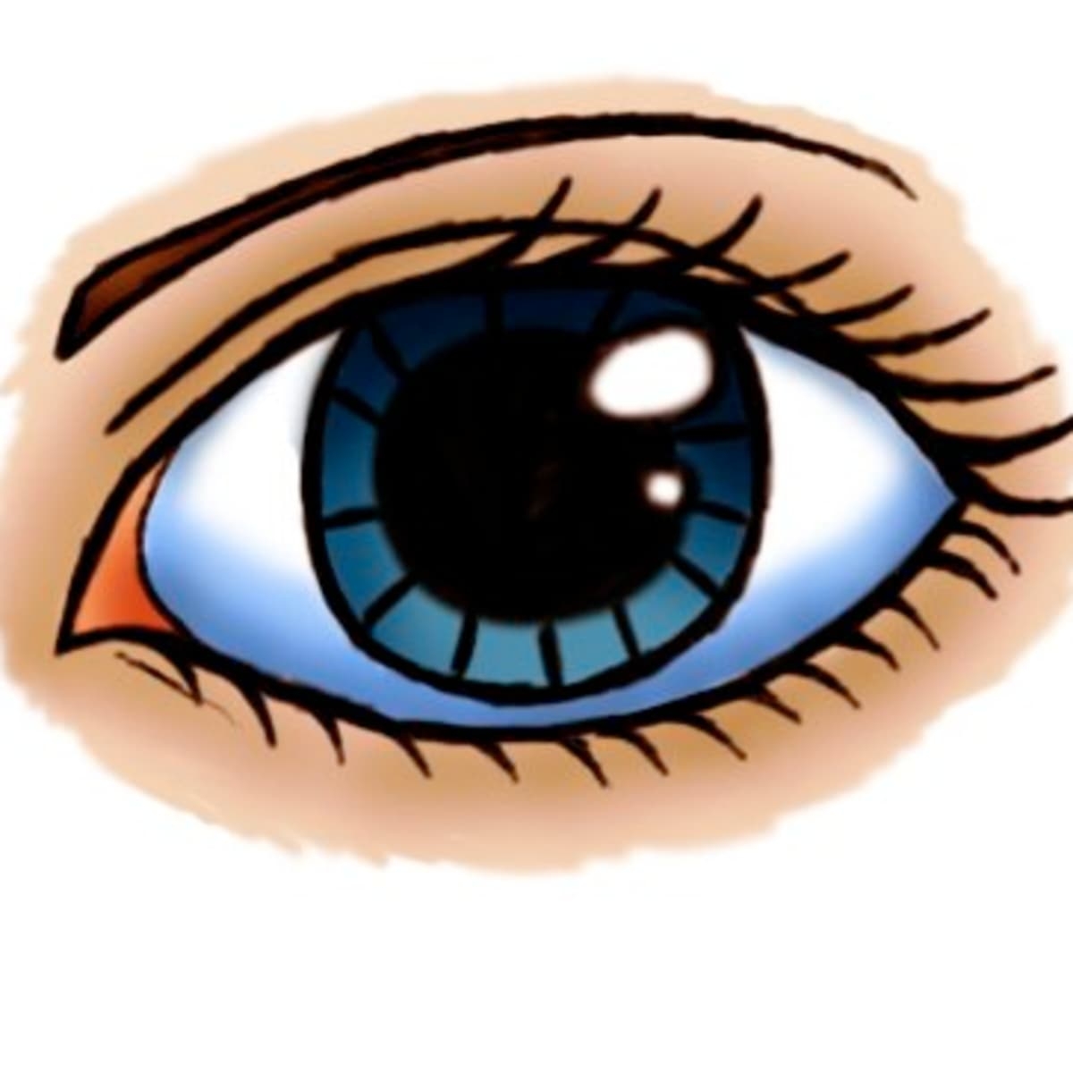 How To Draw A Feminine Cartoon Eye in Eight Simple Steps HubPages