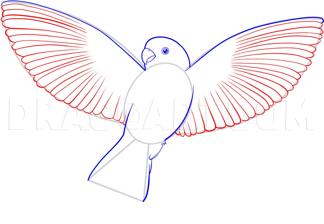 How To Draw A Flying Bird How To Draw A Bird Drawing Step By Step By Dawn DragoArt
