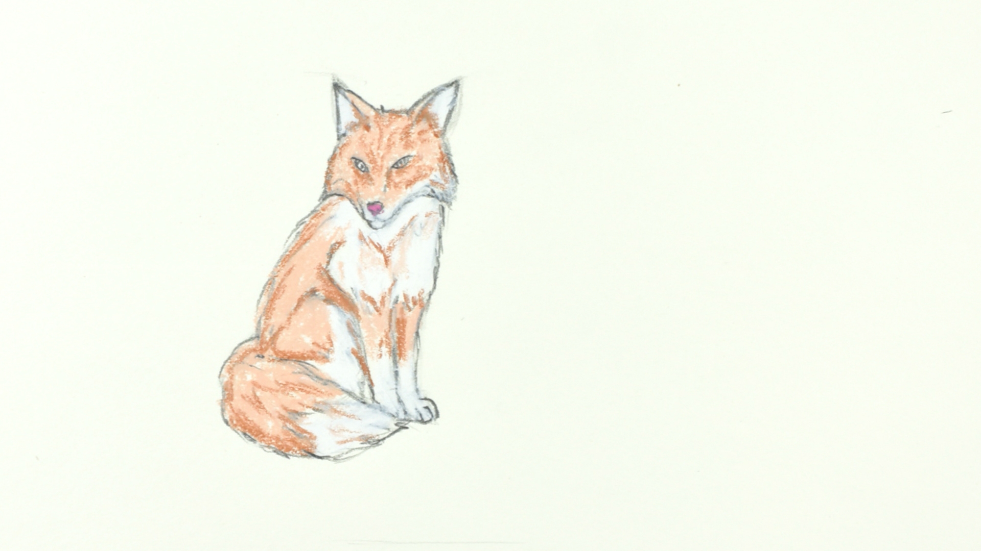 How To Draw A Fox A Step by Step Guide