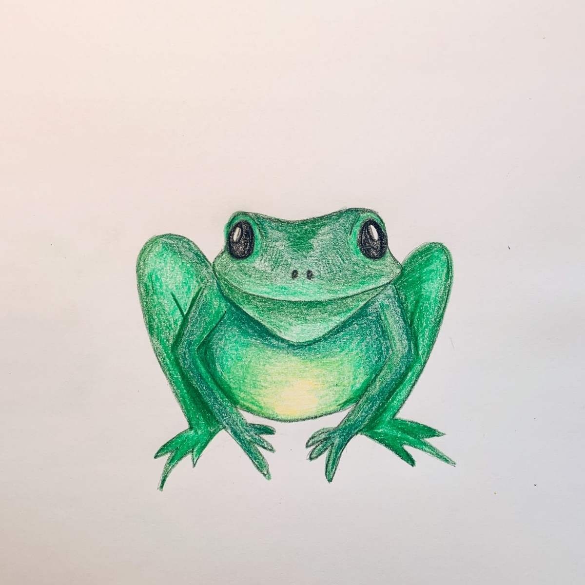 How To Draw A Frog With Face Legs U0026 Body Basicdraw