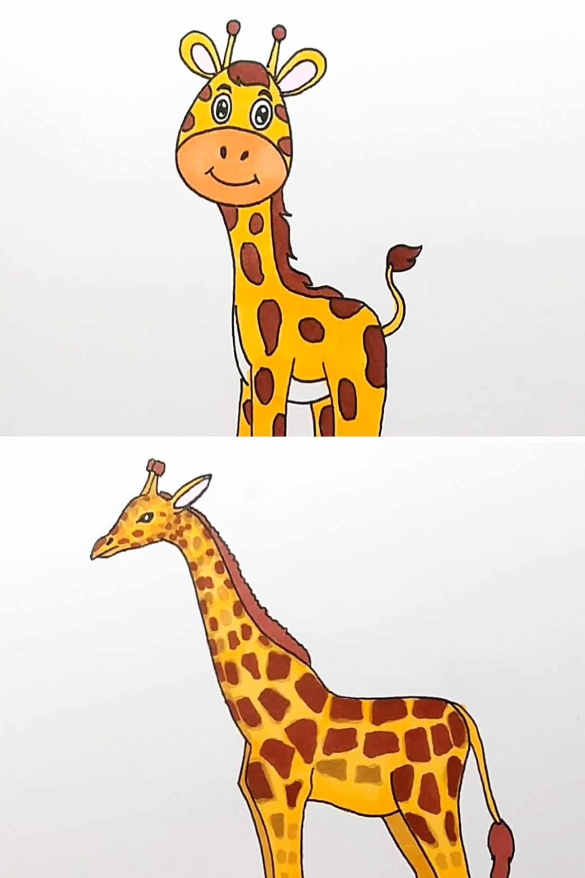 How To Draw A Giraffe Step By Step Tutorial Skip To My Lou