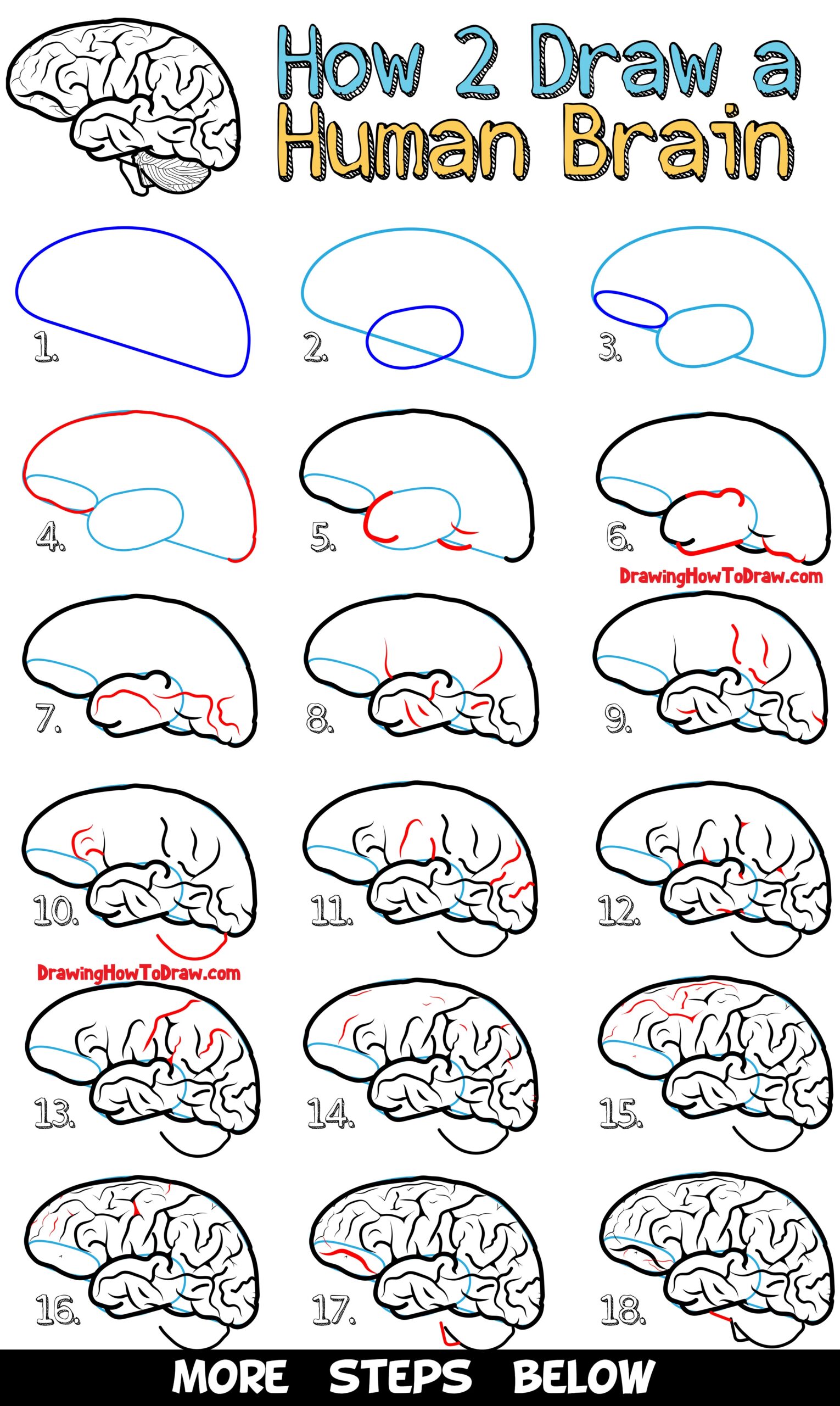 How To Draw A Human Brain Easy Steps Drawing Lesson For Beginners How To Draw Step By Step Drawing Tutorials