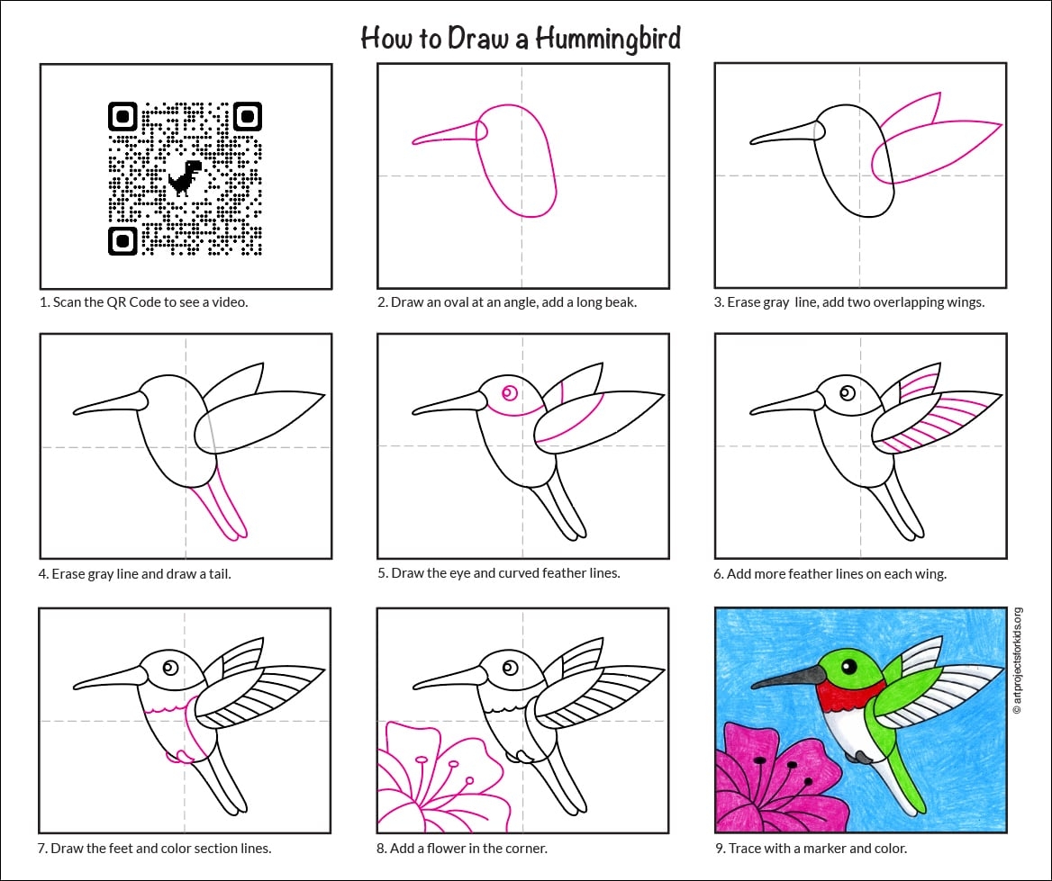 How To Draw A Hummingbird Easy Step by Step Art Lesson For Kids