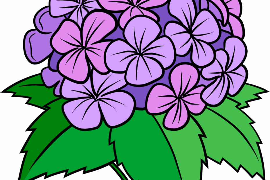How To Draw A Hydrangea Flower Really Easy Drawing Tutorial