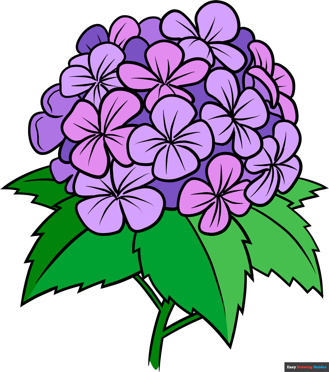 How To Draw A Hydrangea Flower Really Easy Drawing Tutorial