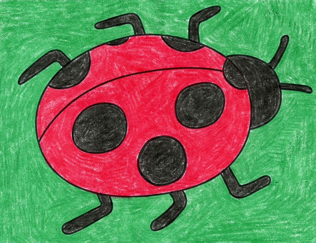 How To Draw A Ladybug Easy Step by Step Art Lesson For Kids