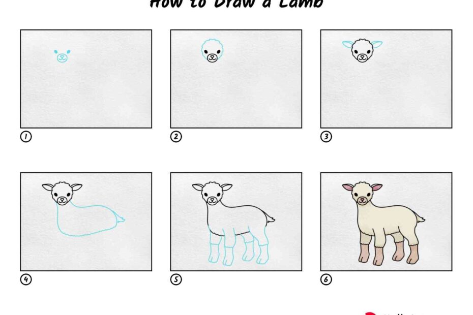 How To Draw A Lamb HelloArtsy