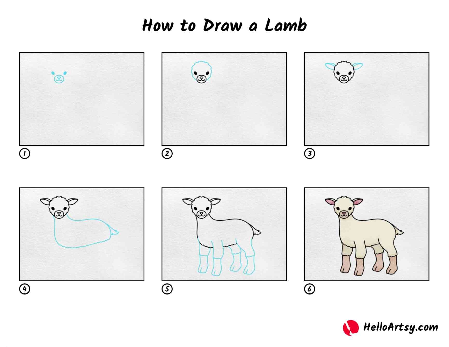 How To Draw A Lamb HelloArtsy