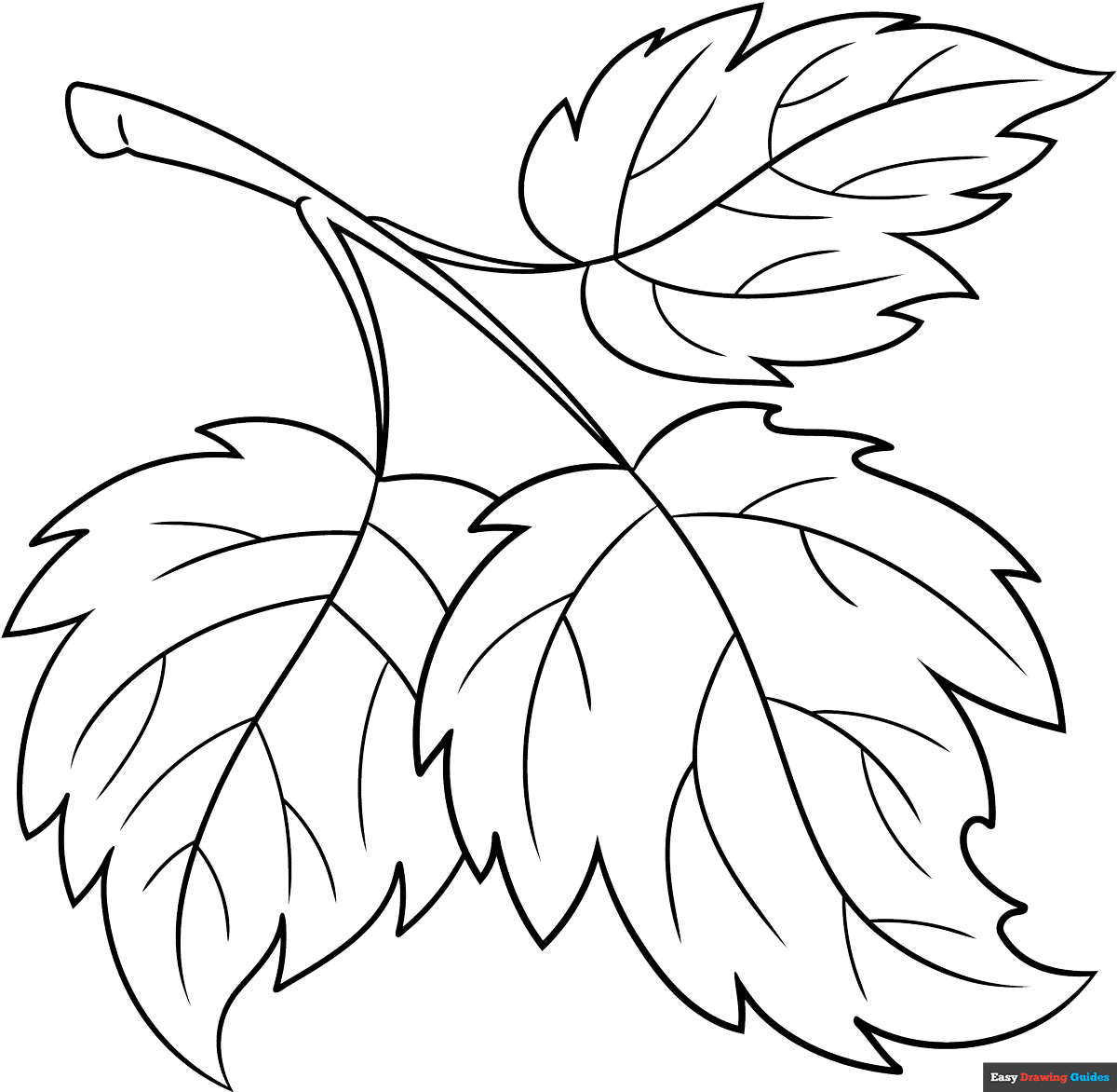 leaf drawing