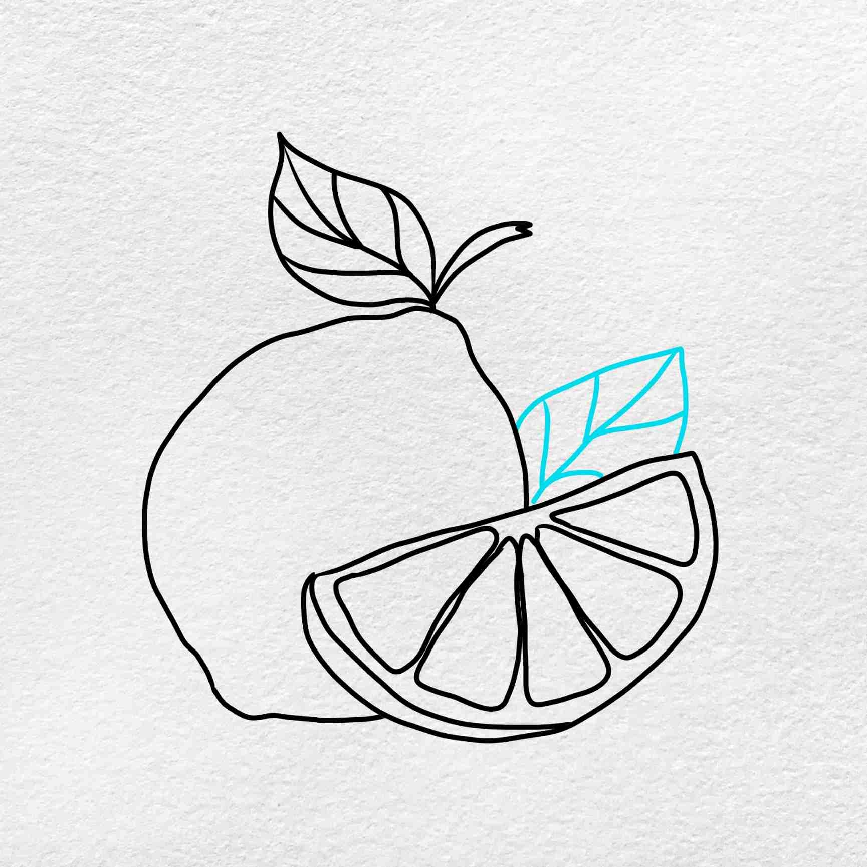 How To Draw A Lime HelloArtsy