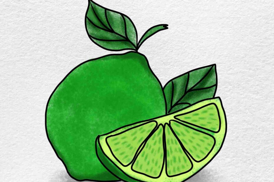 How To Draw A Lime HelloArtsy