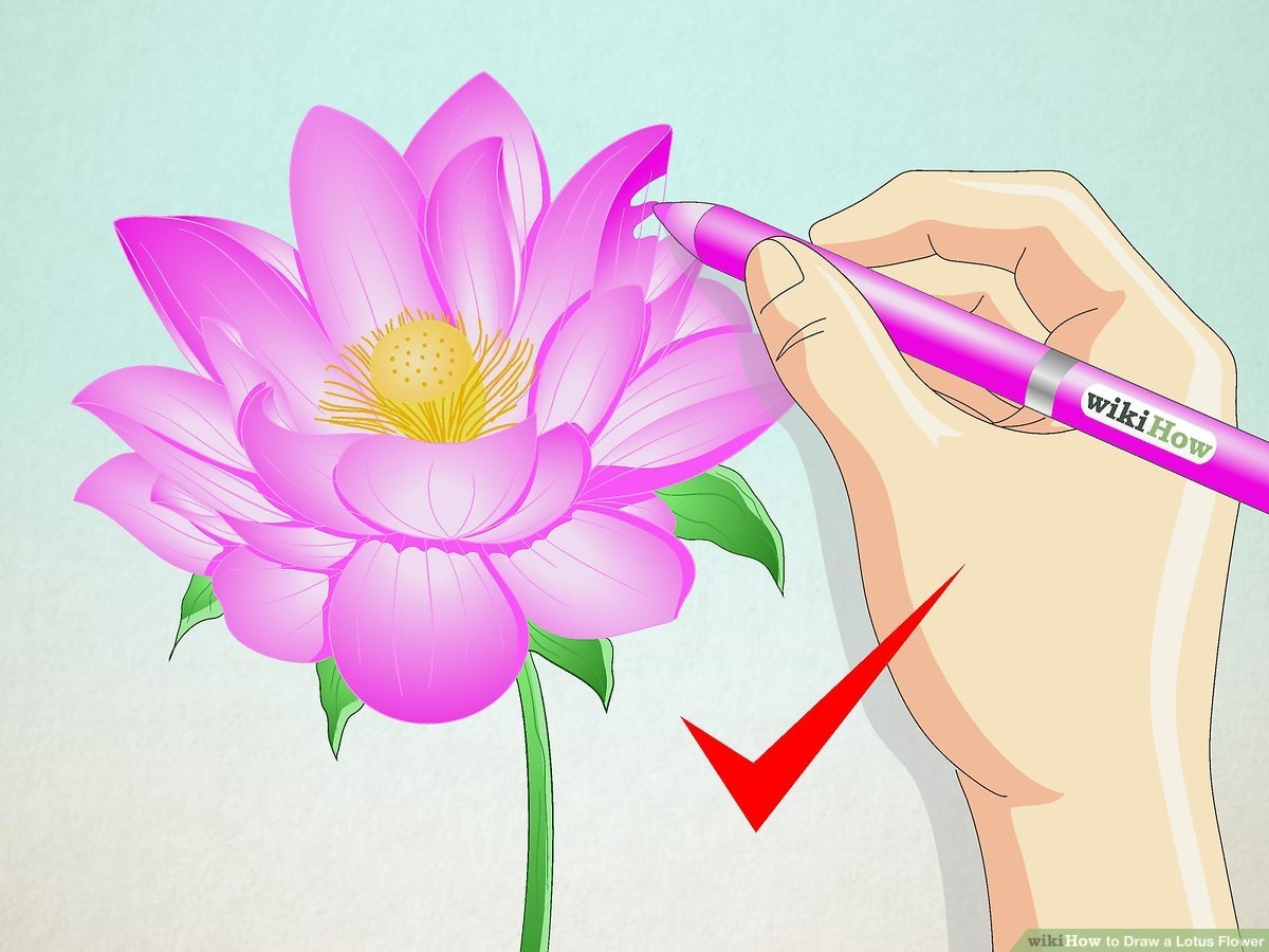 How To Draw A Lotus Flower 7 Steps with Pictures WikiHow