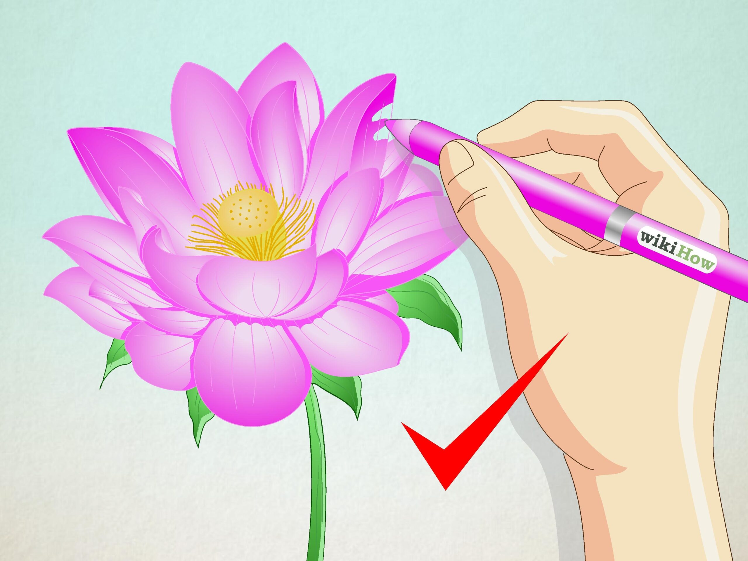 How To Draw A Lotus Flower 7 Steps with Pictures WikiHow
