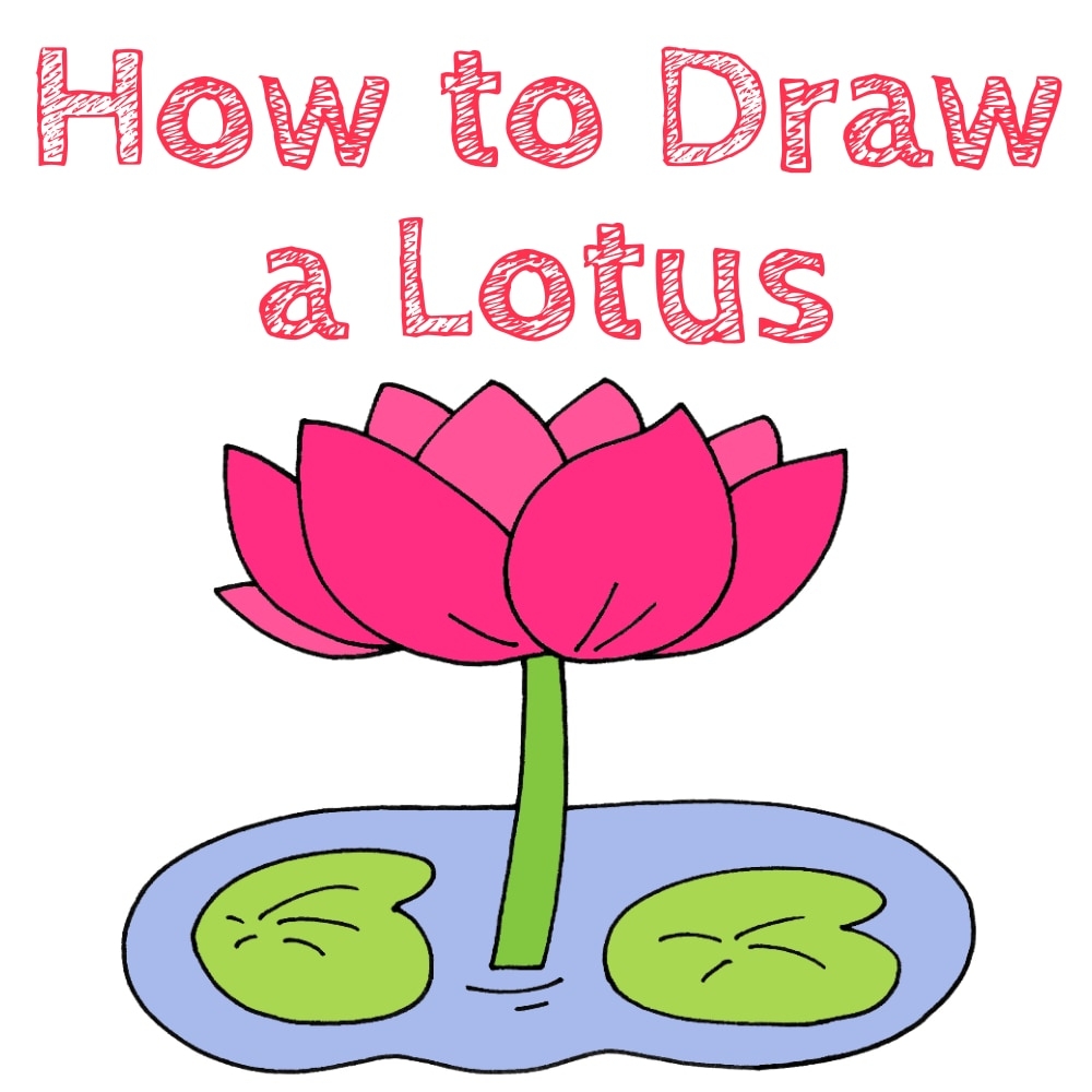 how to draw a lotus flower