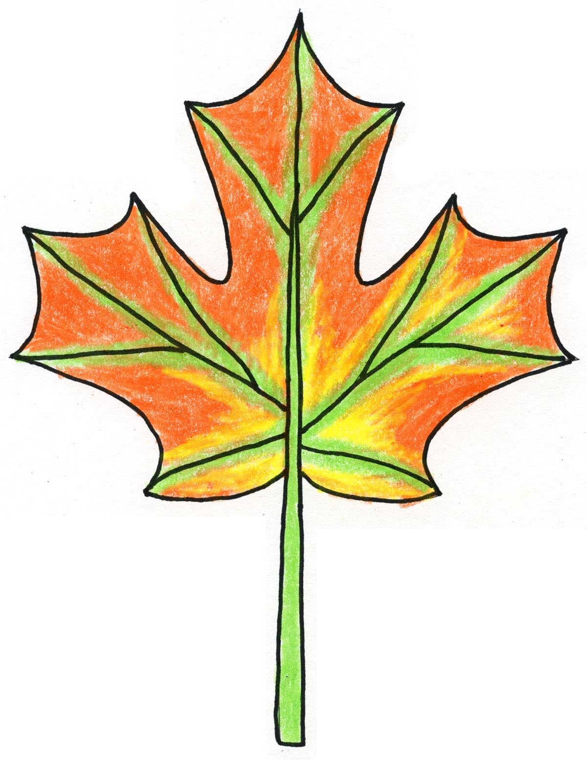 How To Draw A Maple Leaf Easy Step by Step Art Lesson For Kids