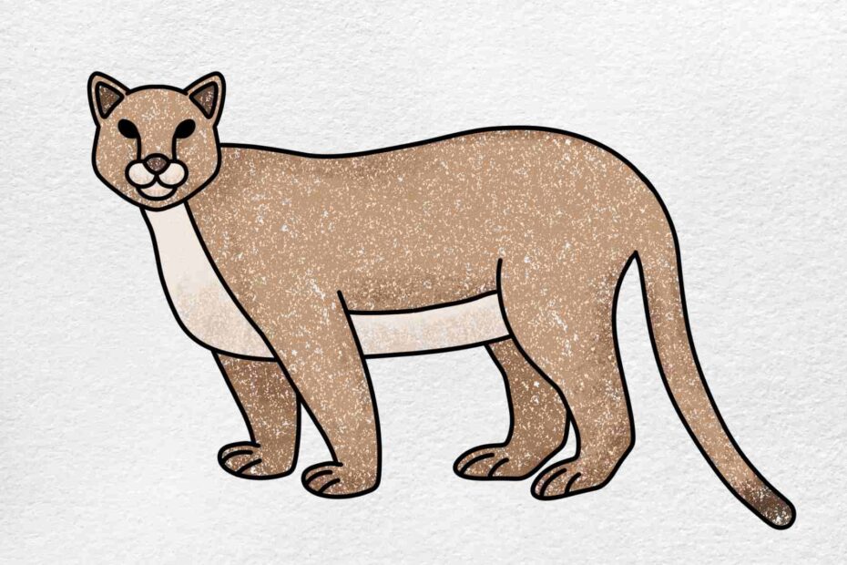 How To Draw A Mountain Lion HelloArtsy