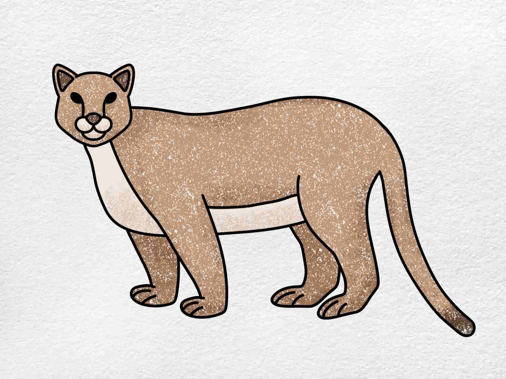 How To Draw A Mountain Lion HelloArtsy